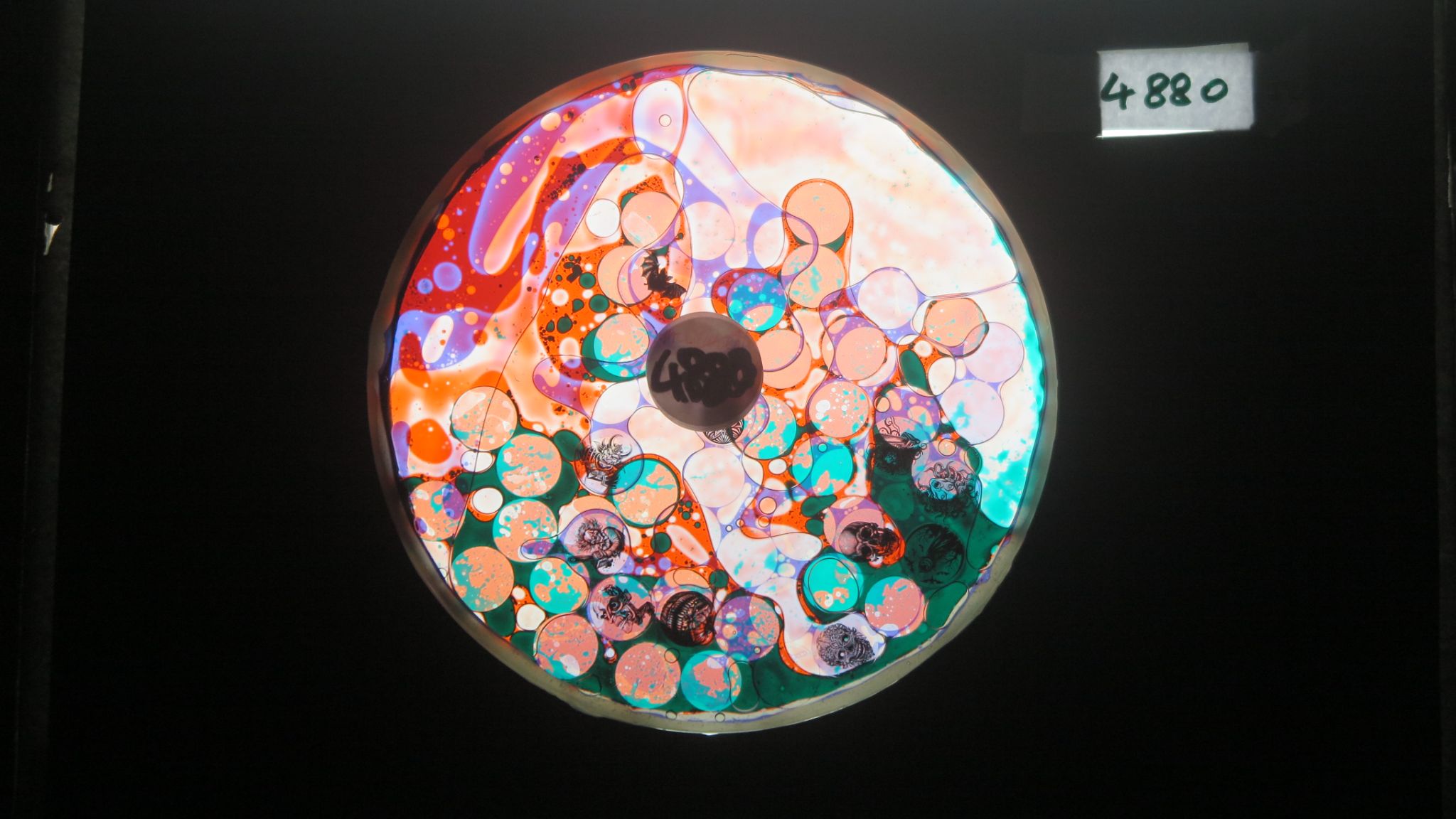 Bv4880 bubble vision oil wheel